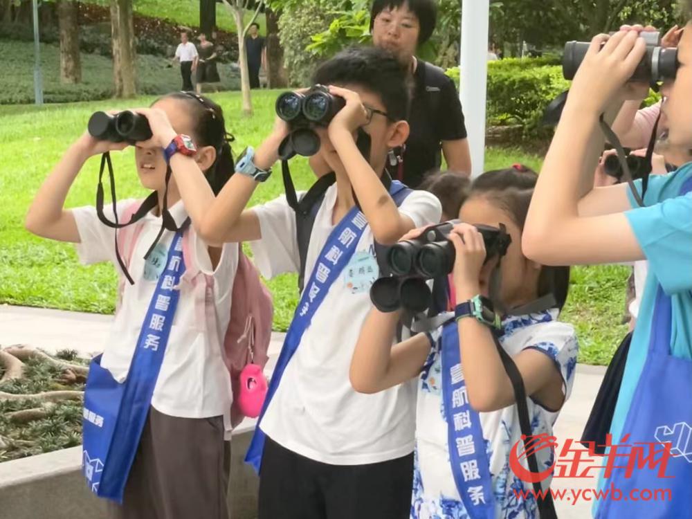 赢博体育官网入口：赢博体育app：视频｜寻羽珠江亲子家庭共访“鸟性化”公园(图1)